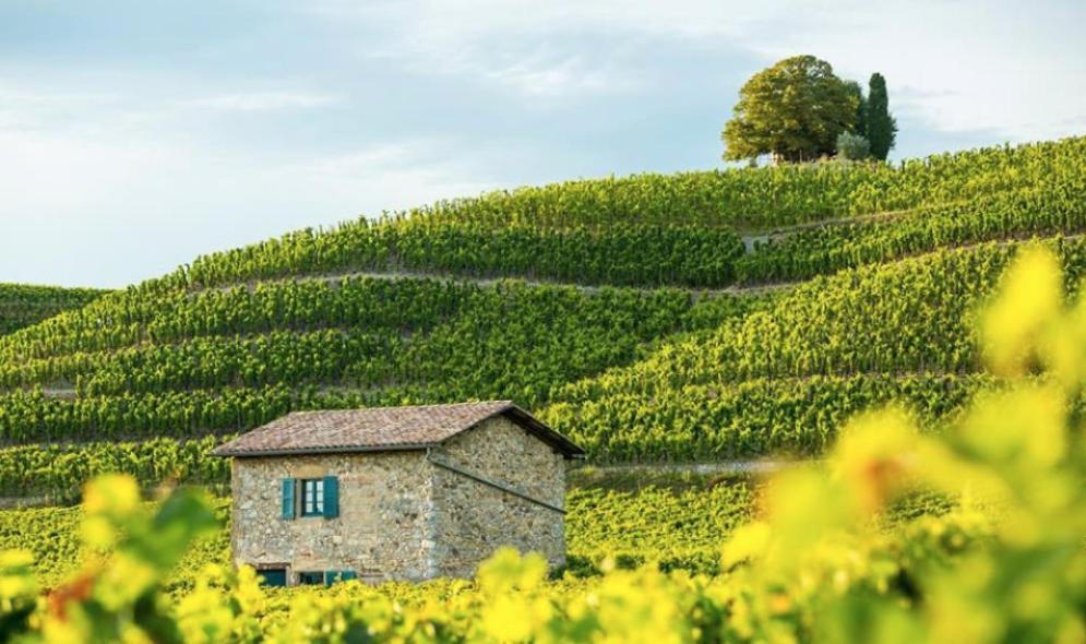 Les Gites De La Galaure Spa En Option Chateauneuf-de-Galaure Zewnętrze zdjęcie